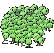 g1b.gif 